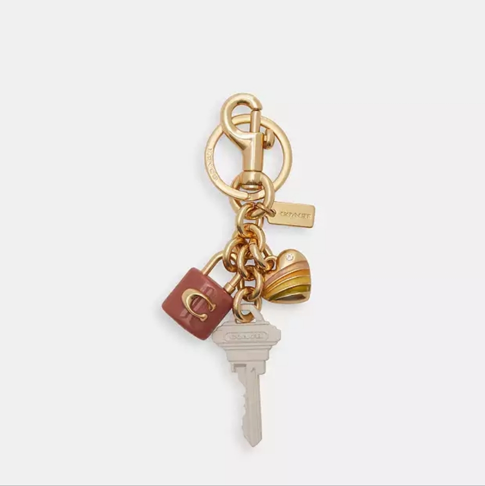 BRAND NEW Coach Key Cluster Bag Charm